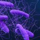 A 3D illustration of Clostridioides difficile, recently reclassified from the name Clostridium difficile.